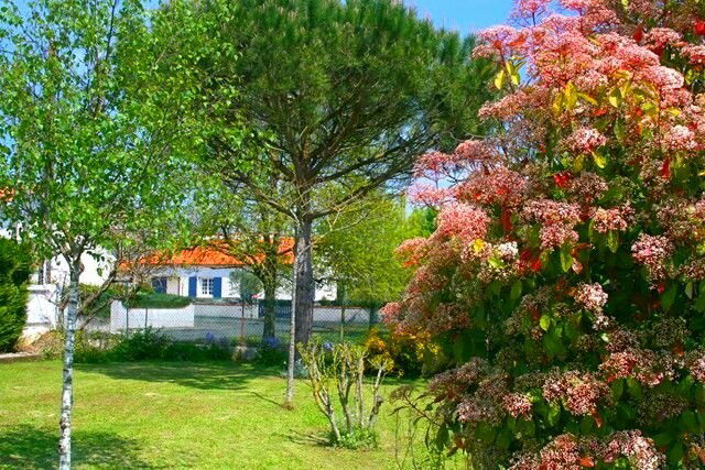 Homestay Dompierre-sur-Mer 47504