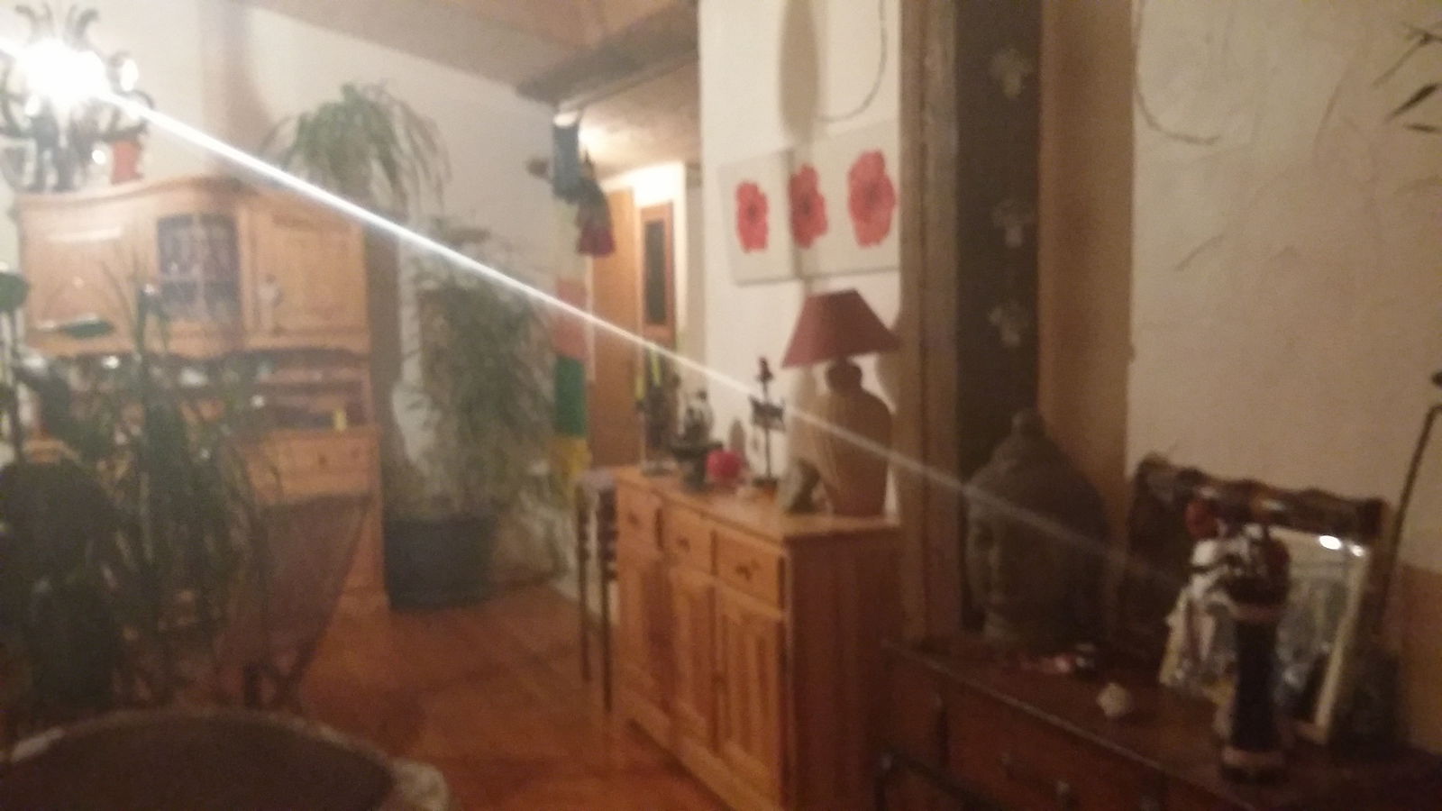 Homestay Guillestre 120116