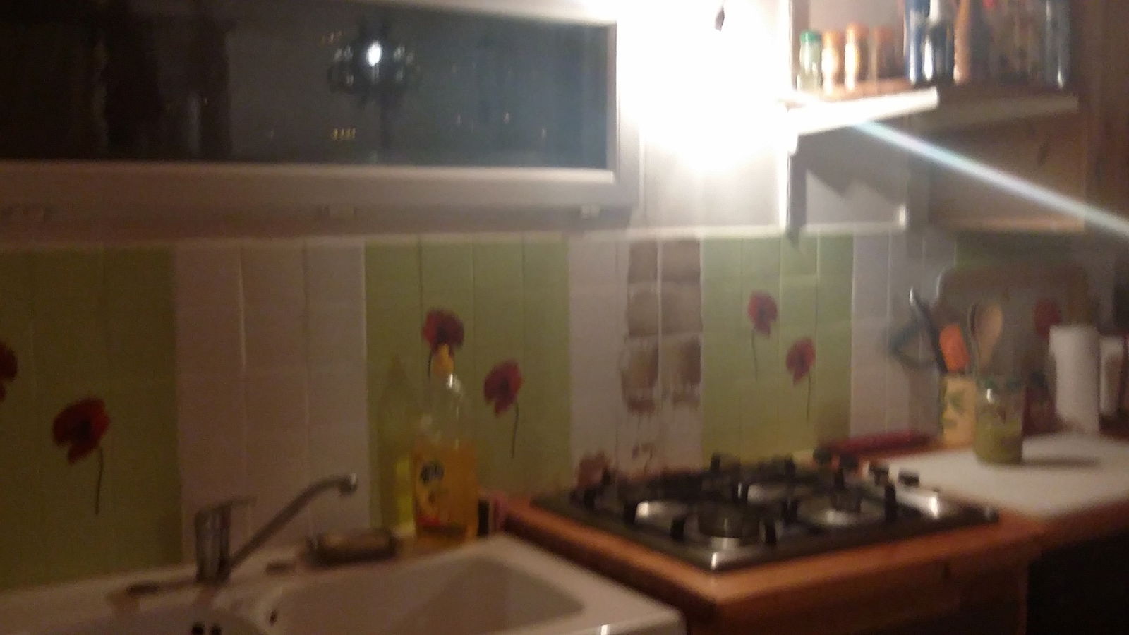 Homestay Guillestre 120116