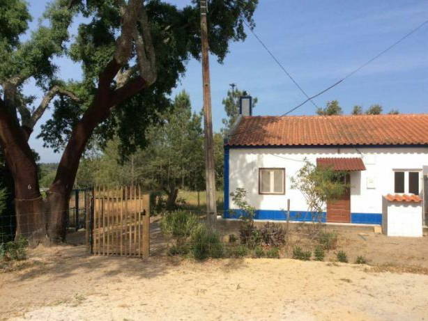 Logement Entier Grândola 228036-1