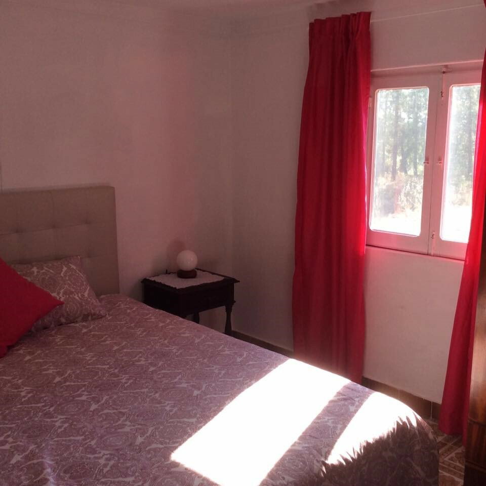 Logement Entier Grândola 228036