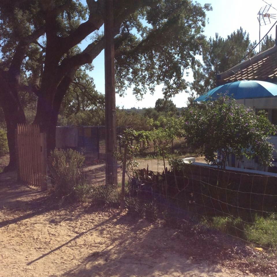 Logement Entier Grândola 228036