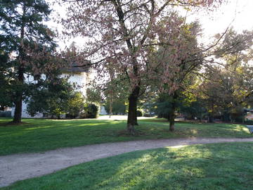 Chambre À Louer Pau 262882