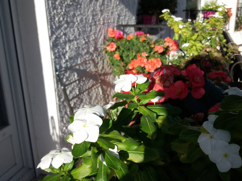 Homestay Pau 262882-3