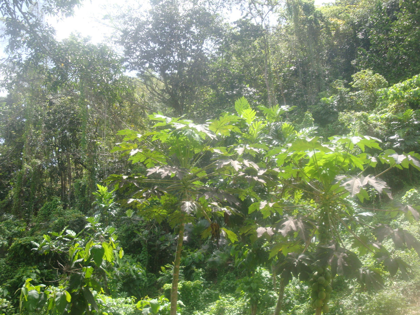 Unabhängiges Studio Doubs 133384