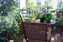 Homestay Napoli 245216