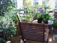 Chambre Chez L'habitant Napoli 245216-7