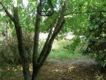 Chambre D'hôte Villate 7170-4