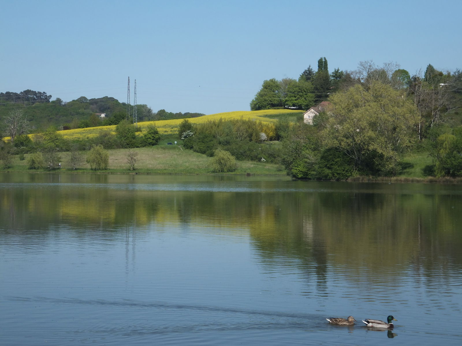 Homestay Orthez 230344