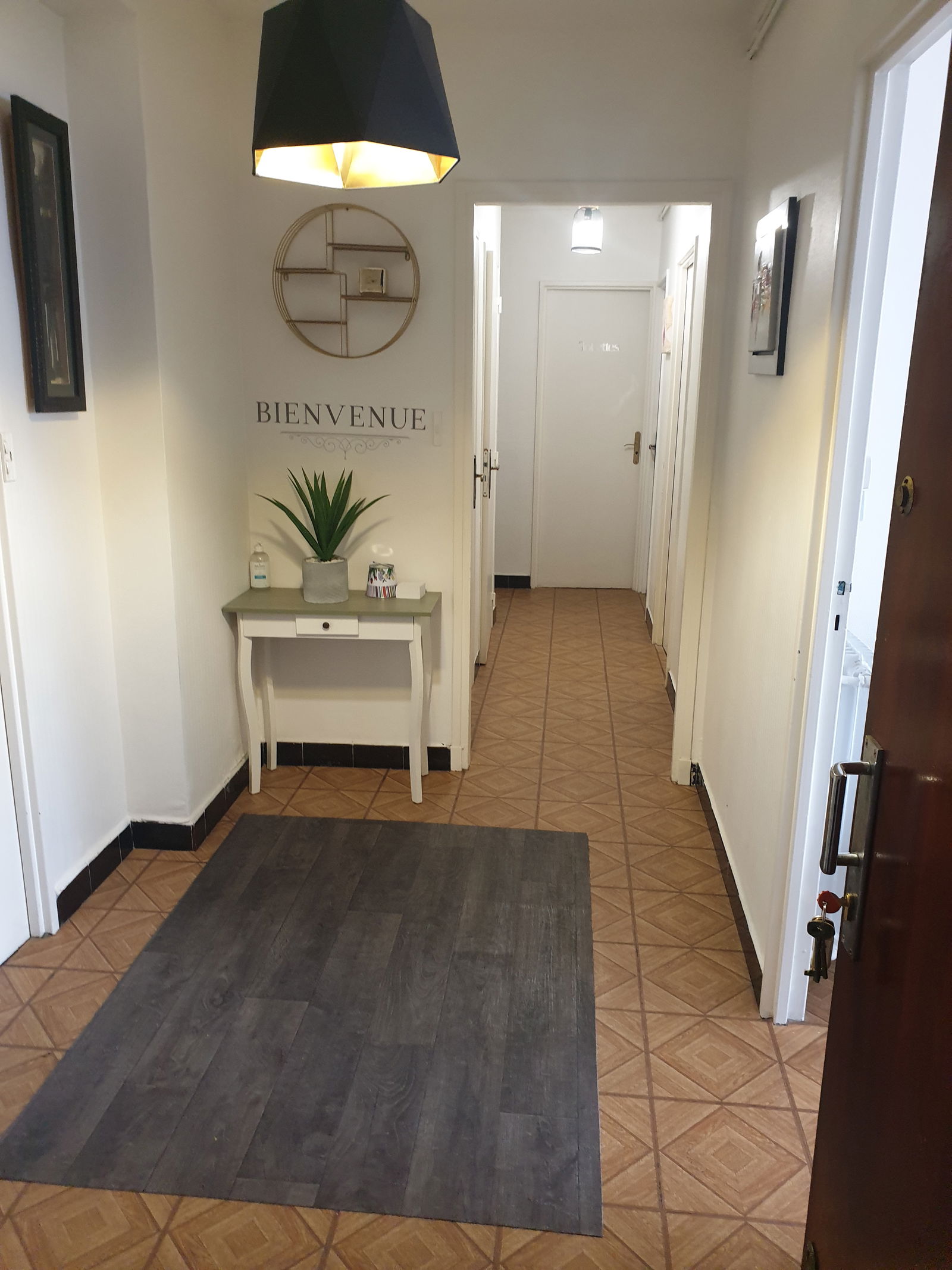 Colocation Villeurbanne 300550