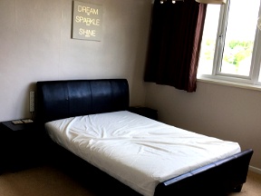 Homely Professional House - Rooms Available Now