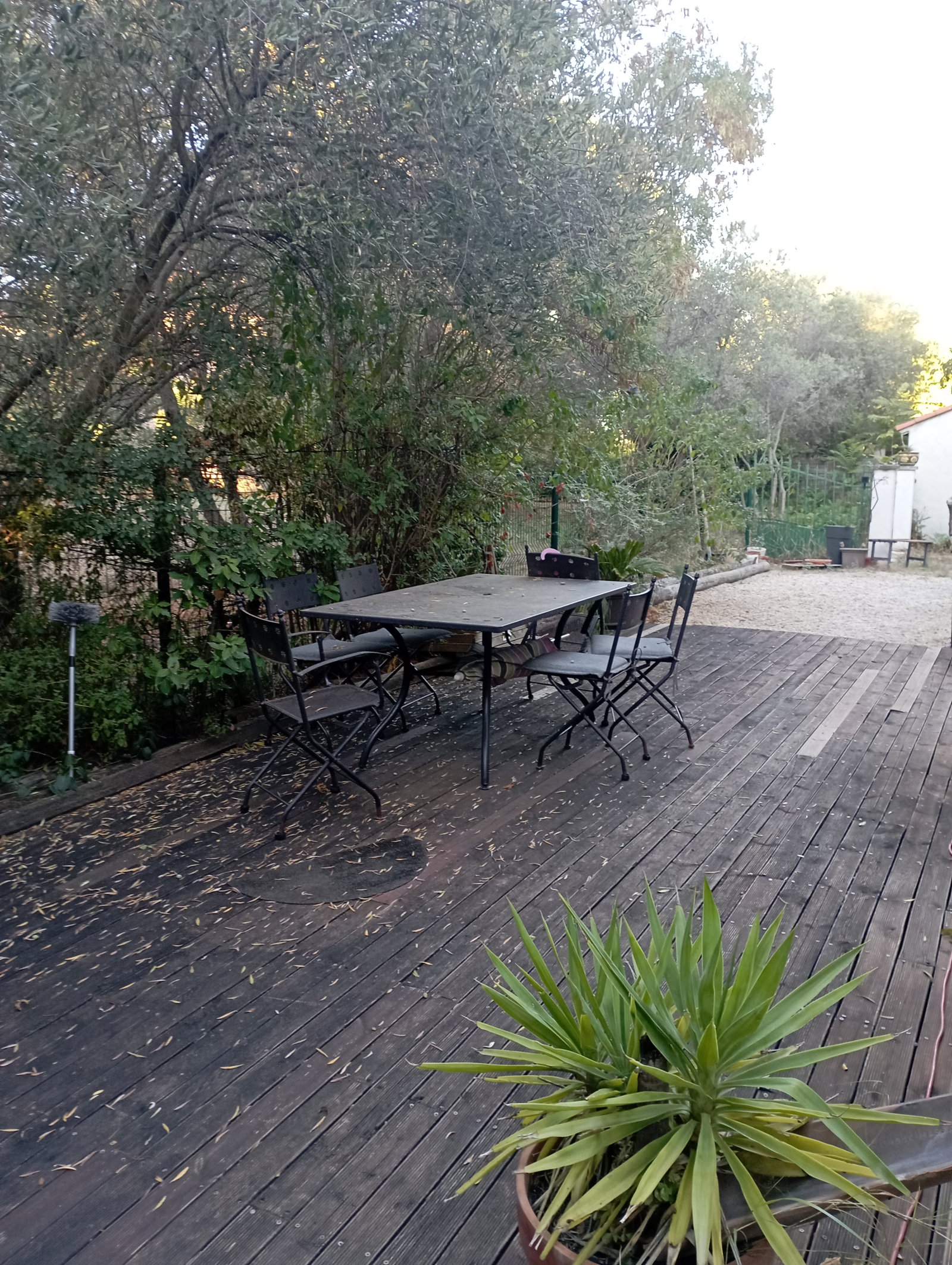 Homestay Marseille 675946