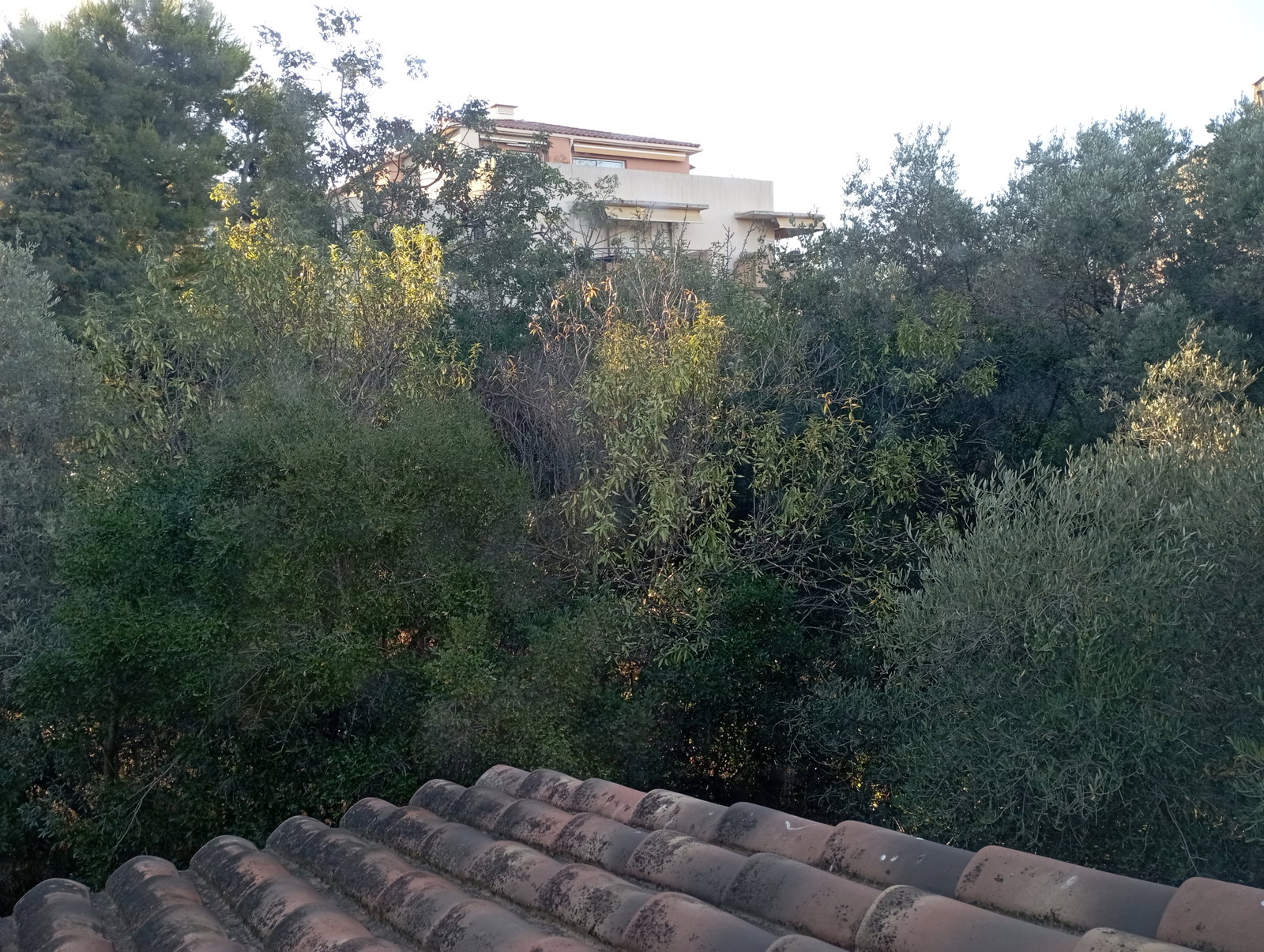 Homestay Marseille 675946