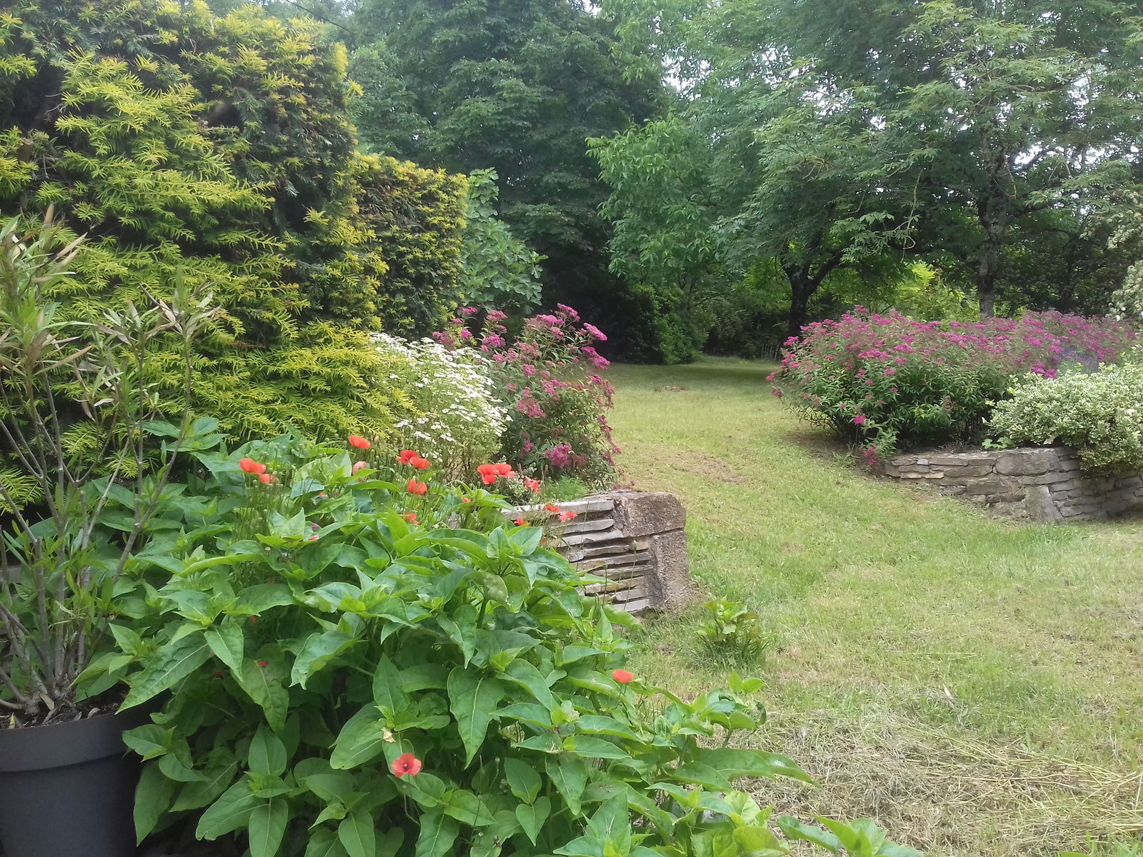 Homestay Carayac 29986