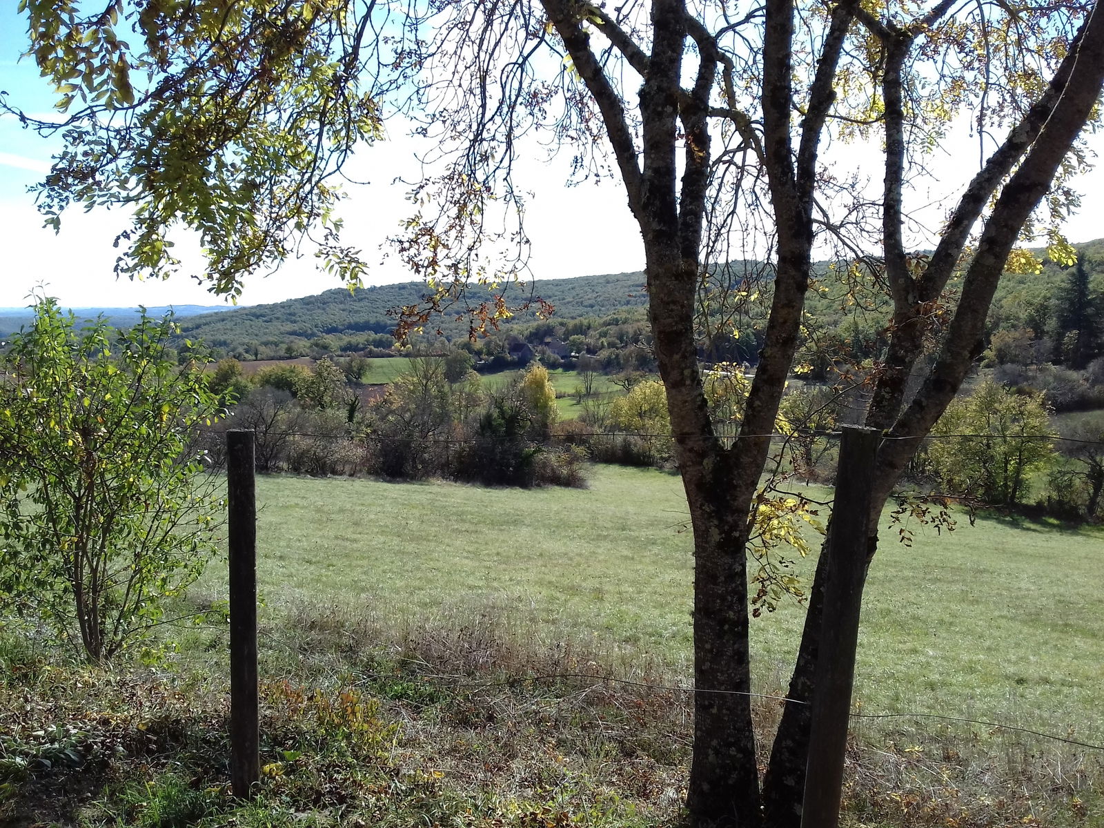 Homestay Carayac 29986