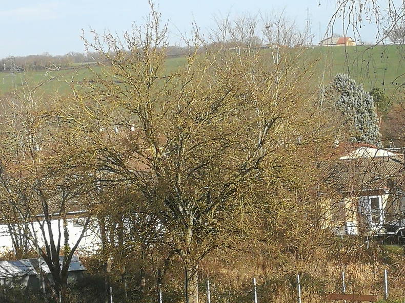 Chambre Chez L'habitant Charlieu 106880-4