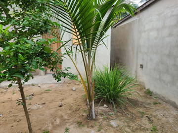 Chambre Chez L'habitant Lomé 151956-12