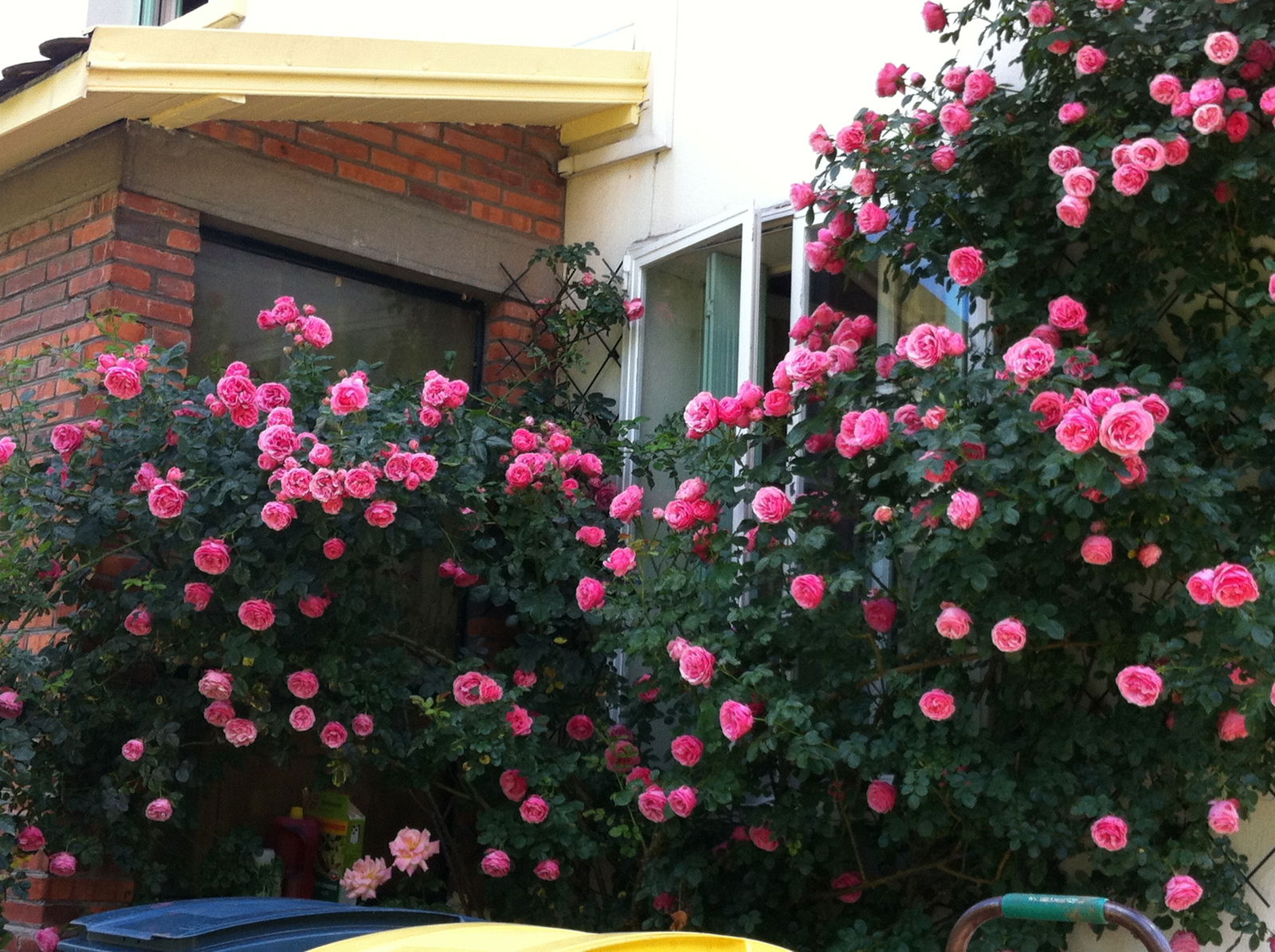 Homestay Besançon 153919