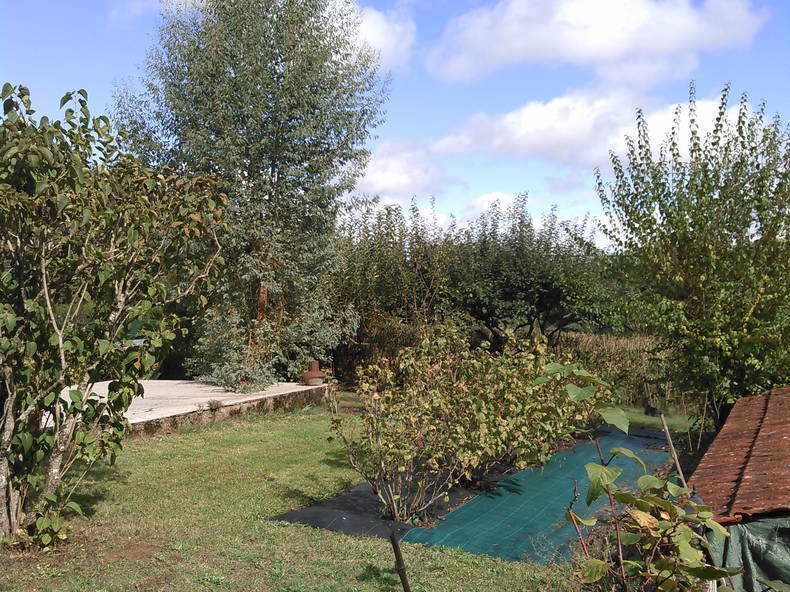 Hospedagem Em Casa De Família Diges 183066-5