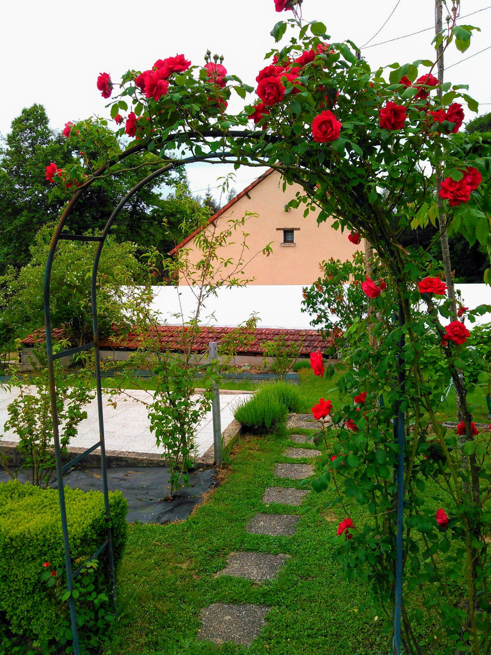 Homestay Diges 183066