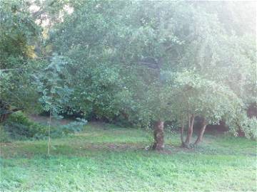 Chambre À Louer Saint-André-De-Najac 204568