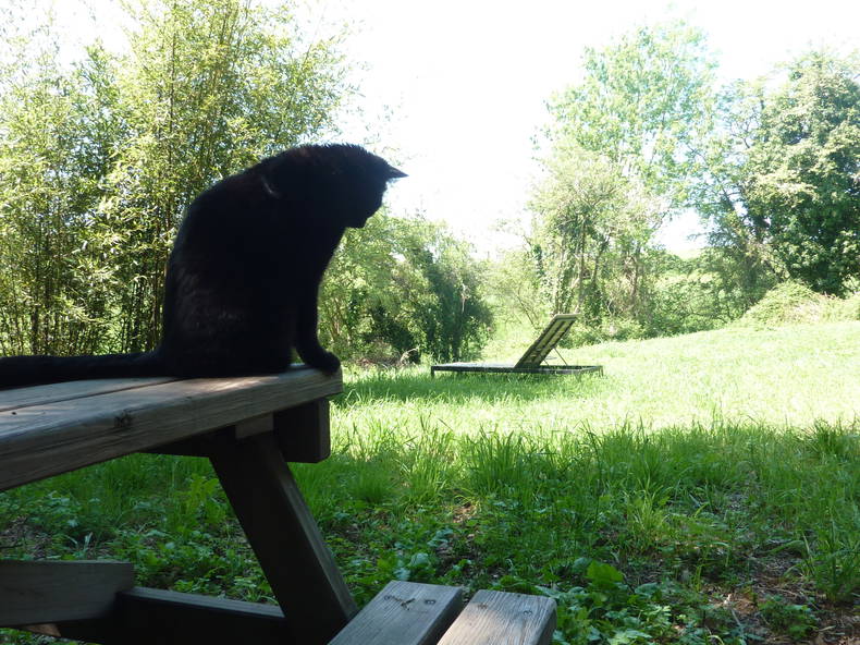Chambre Chez L'habitant Saint-André-de-Najac 204568-3