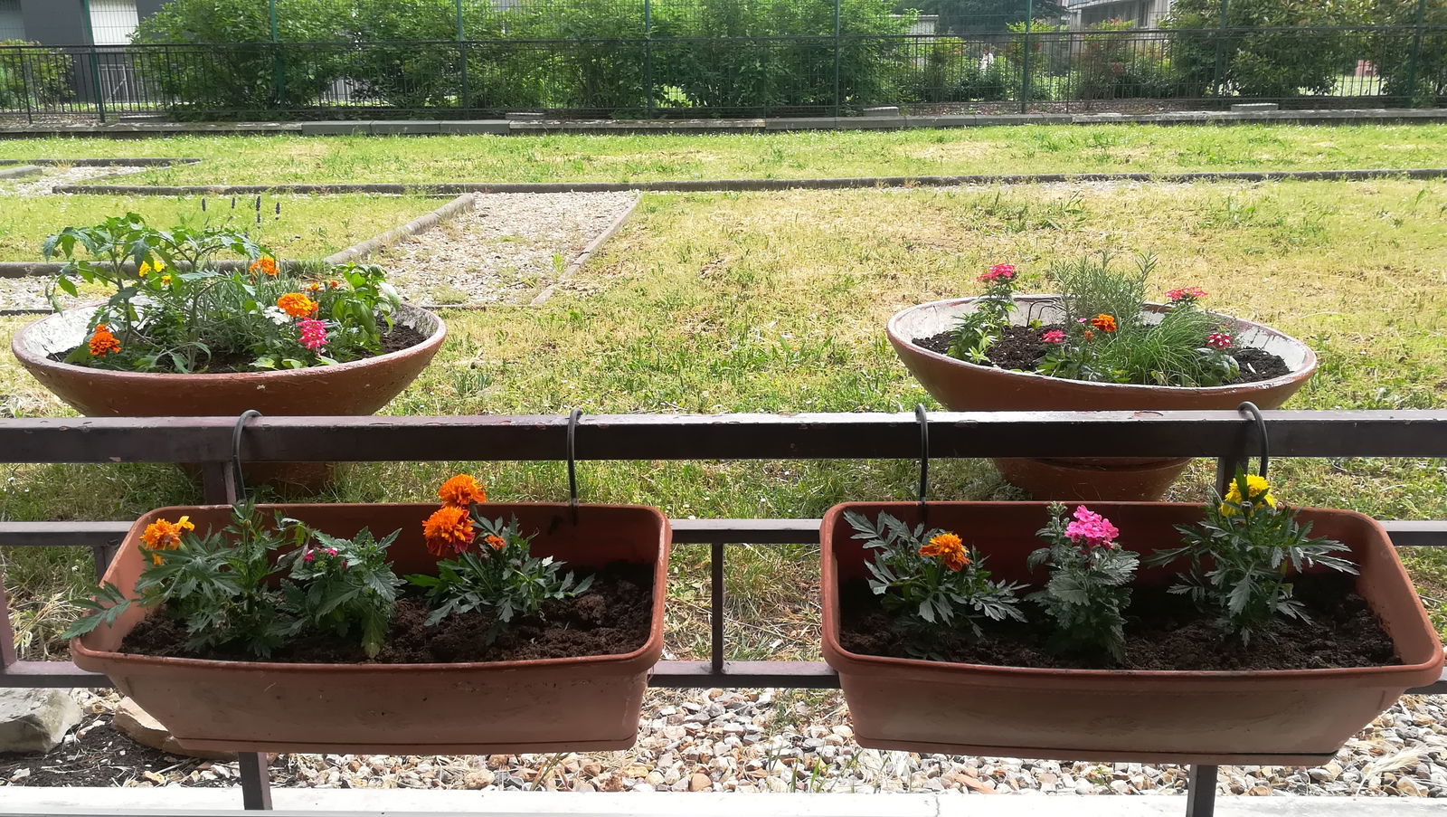 Homestay Les Lilas 249678