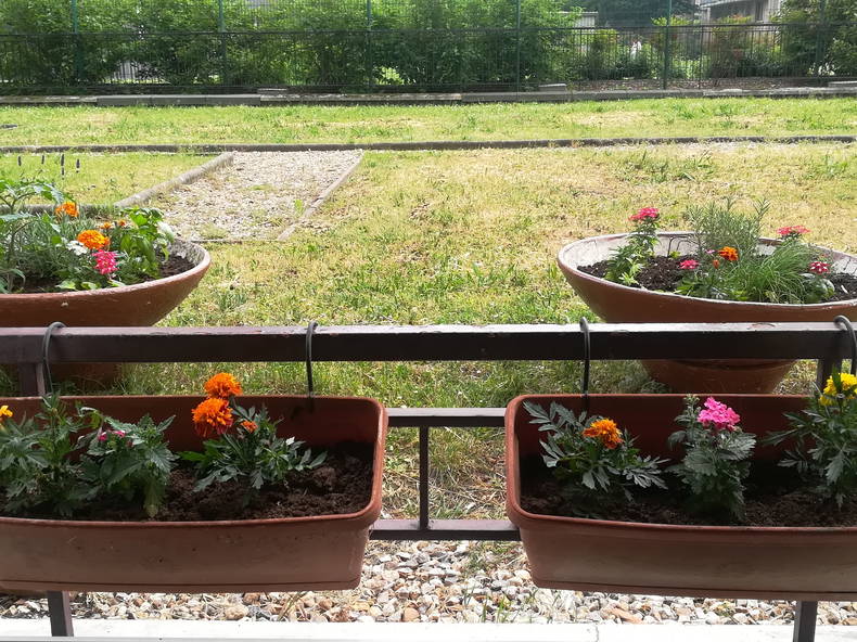 Quedarse En Casa Les Lilas 249678-4