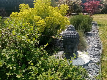 Homestay Saumur 255298-5