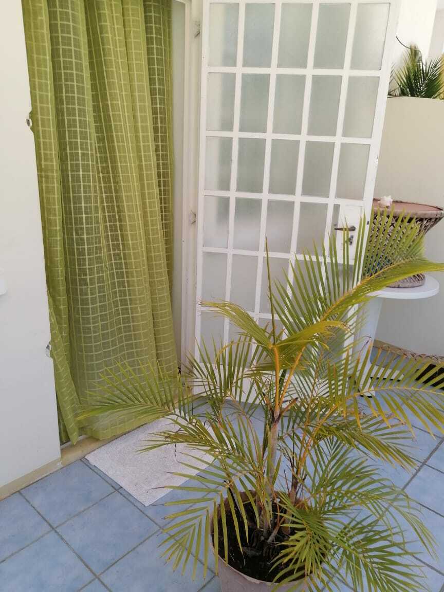 Homestay Flic en Flac 256821