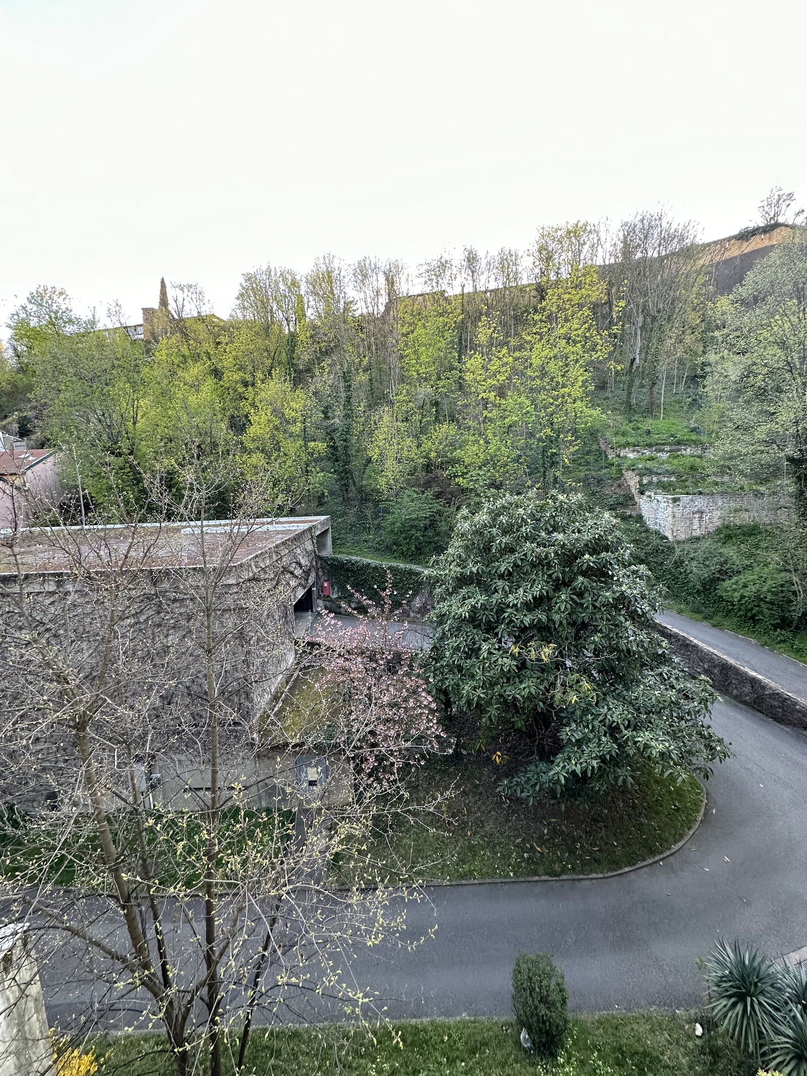 Homestay Lyon 265166