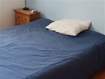 Chambre À Louer Lyon 265279