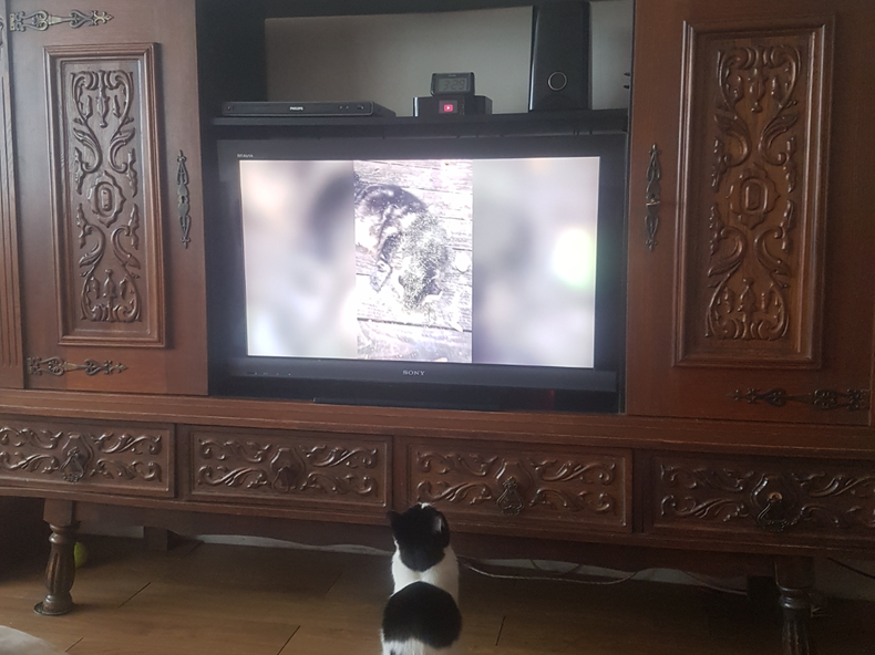 Chambre Chez L'habitant Levallois-Perret 265997-4