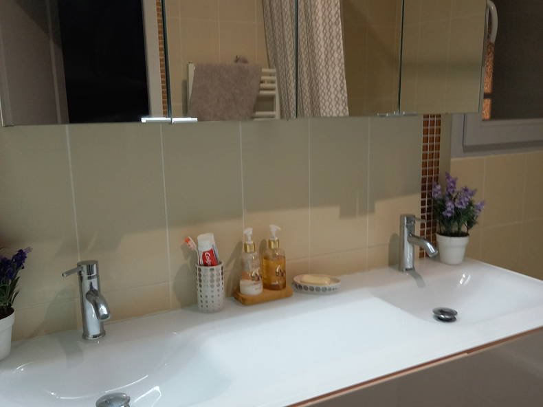 Chambre Chez L'habitant Rillieux-la-Pape 306777-3