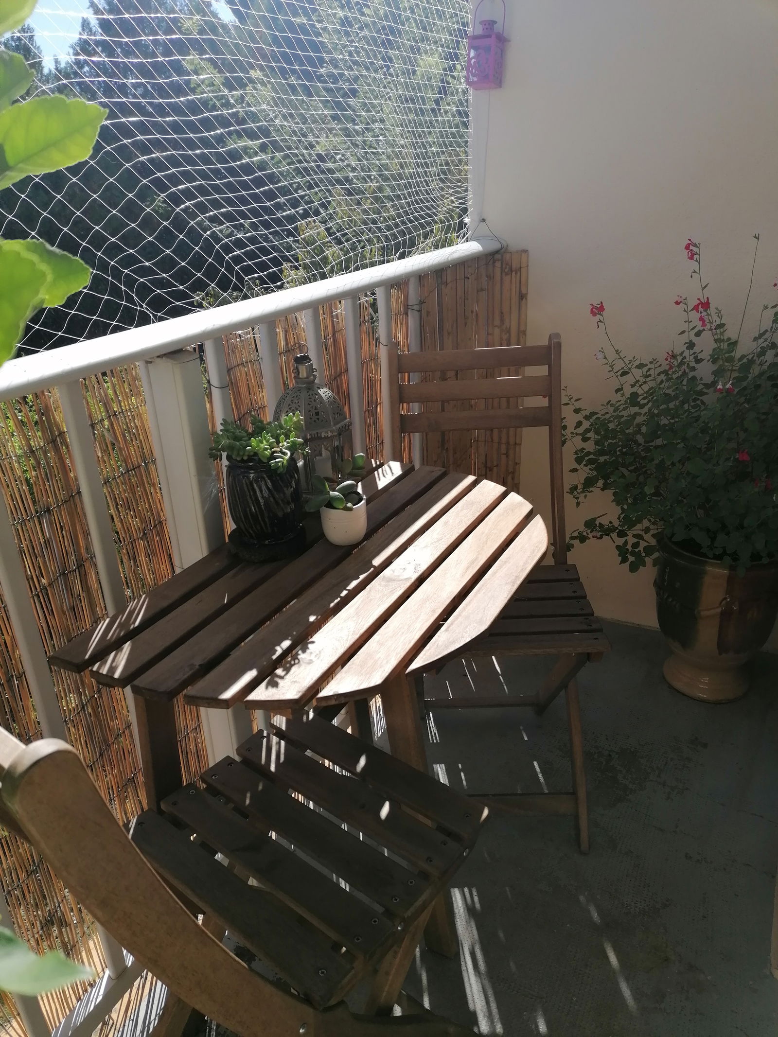 Homestay Montpellier 308116