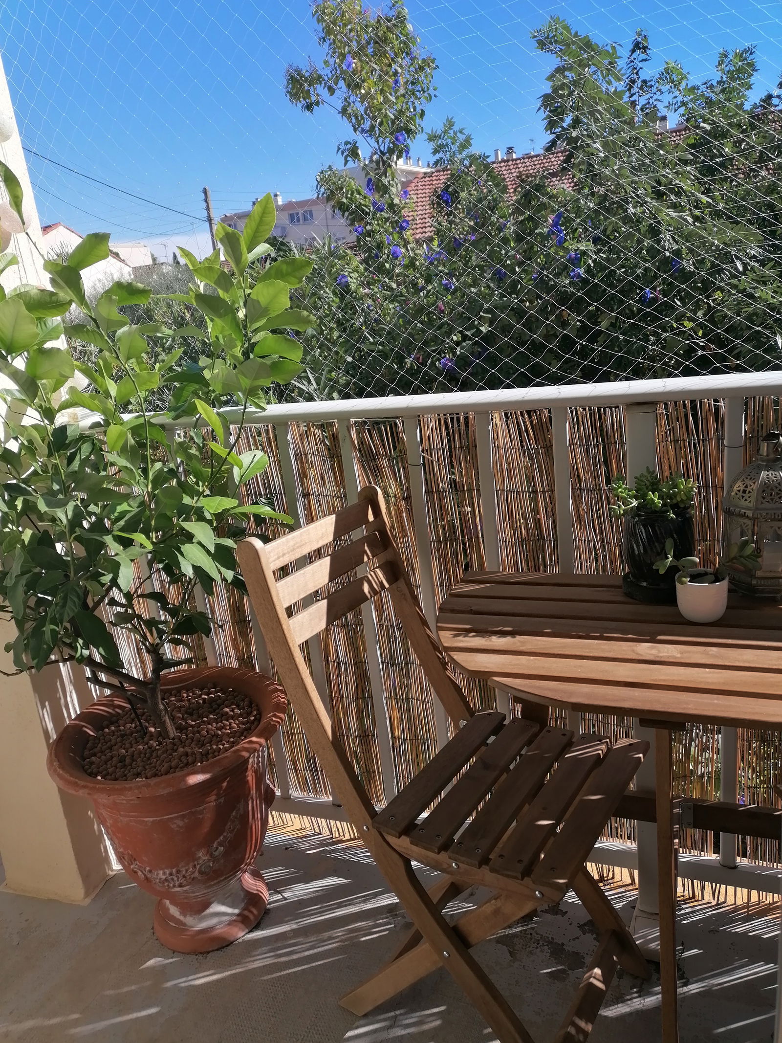 Homestay Montpellier 308116