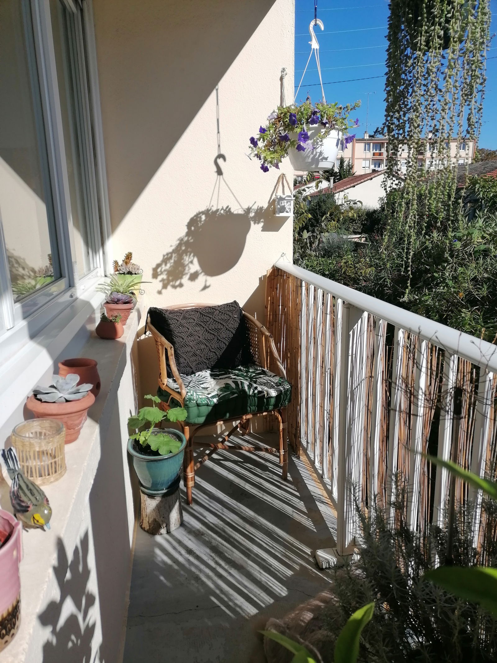 Homestay Montpellier 308116