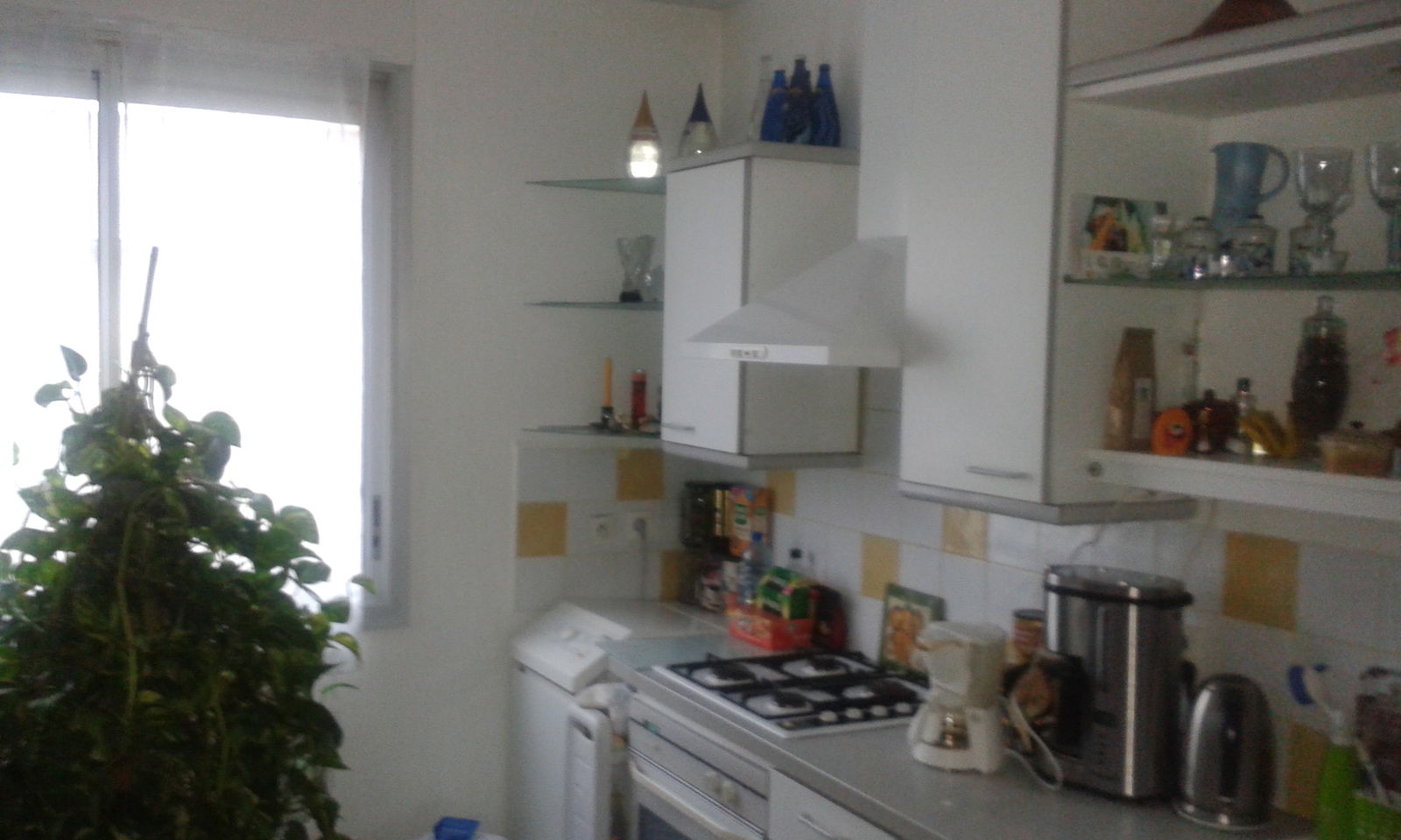 Homestay Lyon 348382