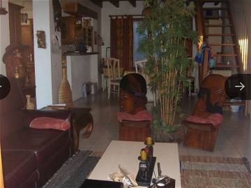 Room For Rent Beauvallon 354533