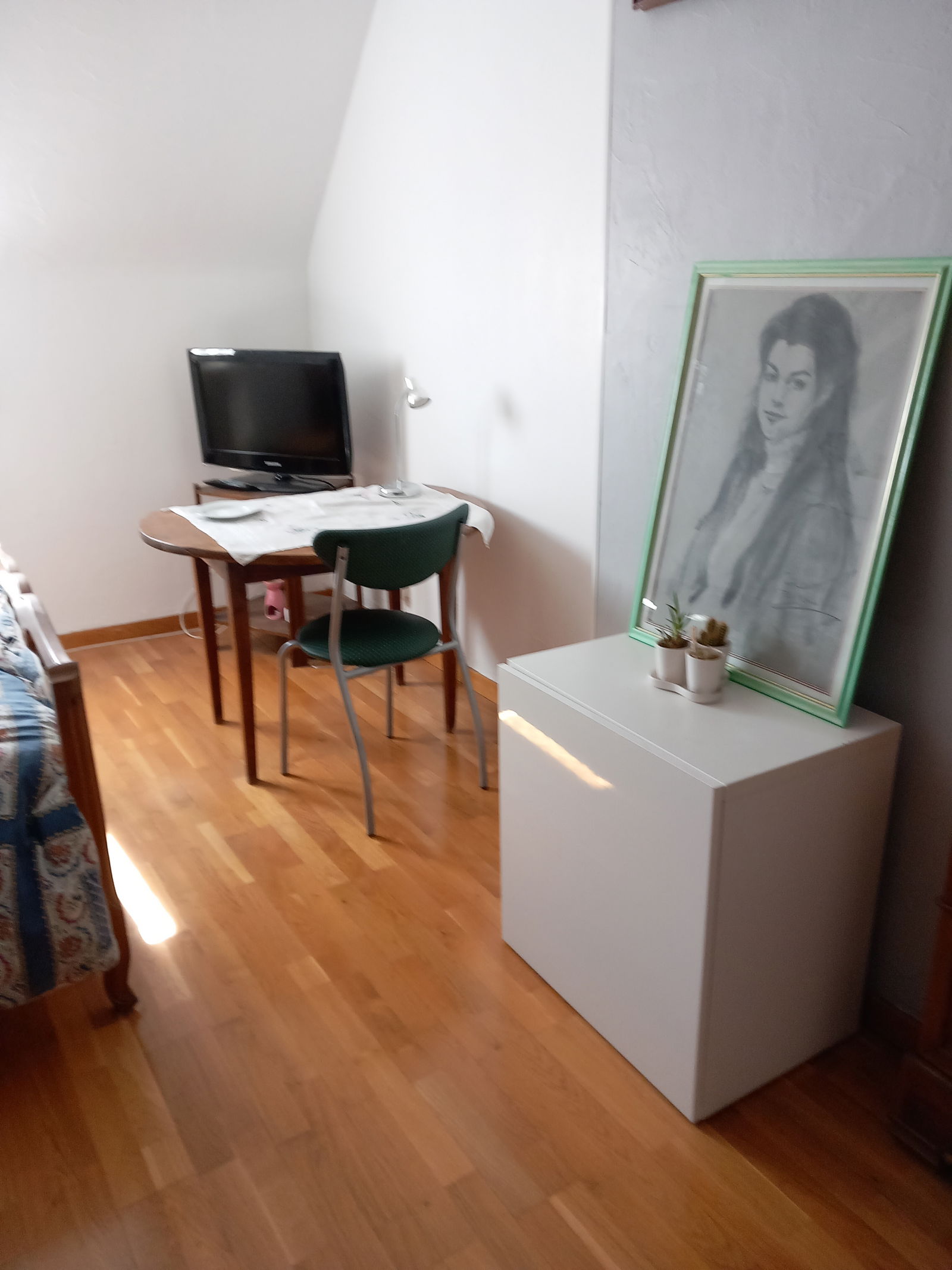 Homestay Joué-lès-Tours 359914