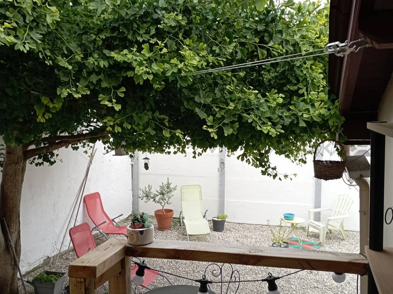 Quedarse En Casa Villeurbanne 385996-2