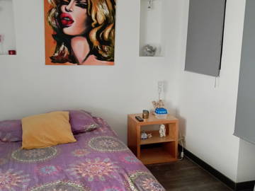 Chambre À Louer Villeurbanne 385996