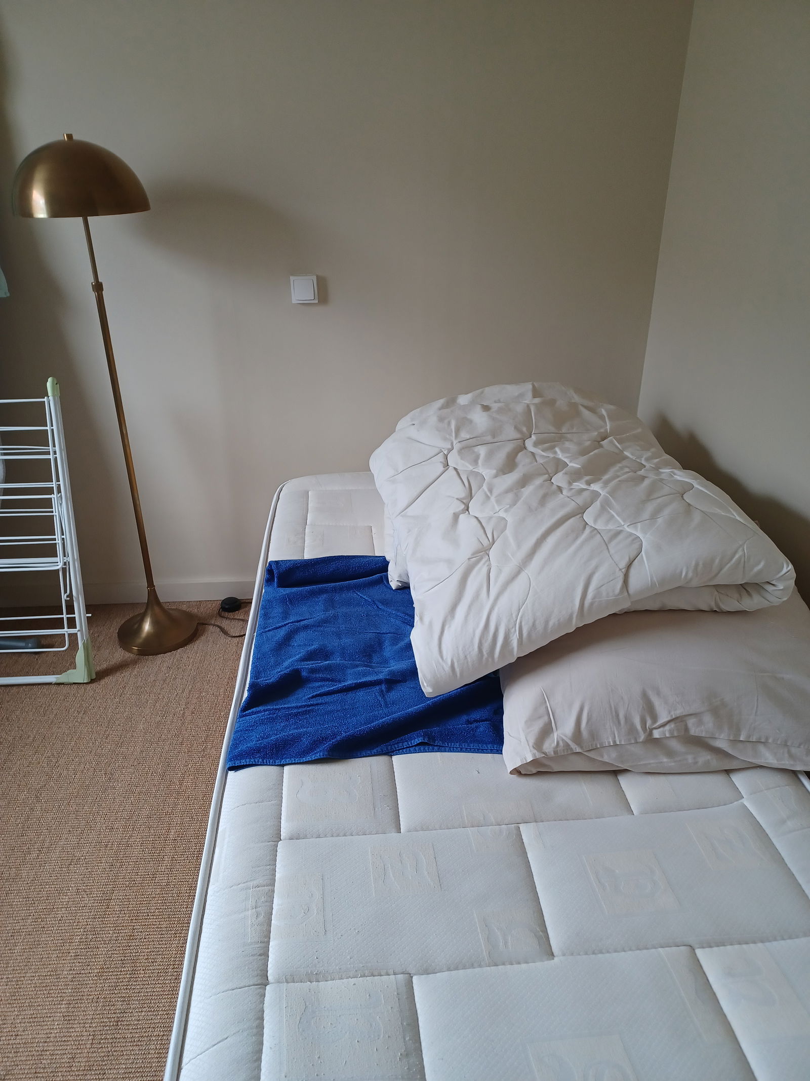 Homestay Mont-Saint-Aignan 398113