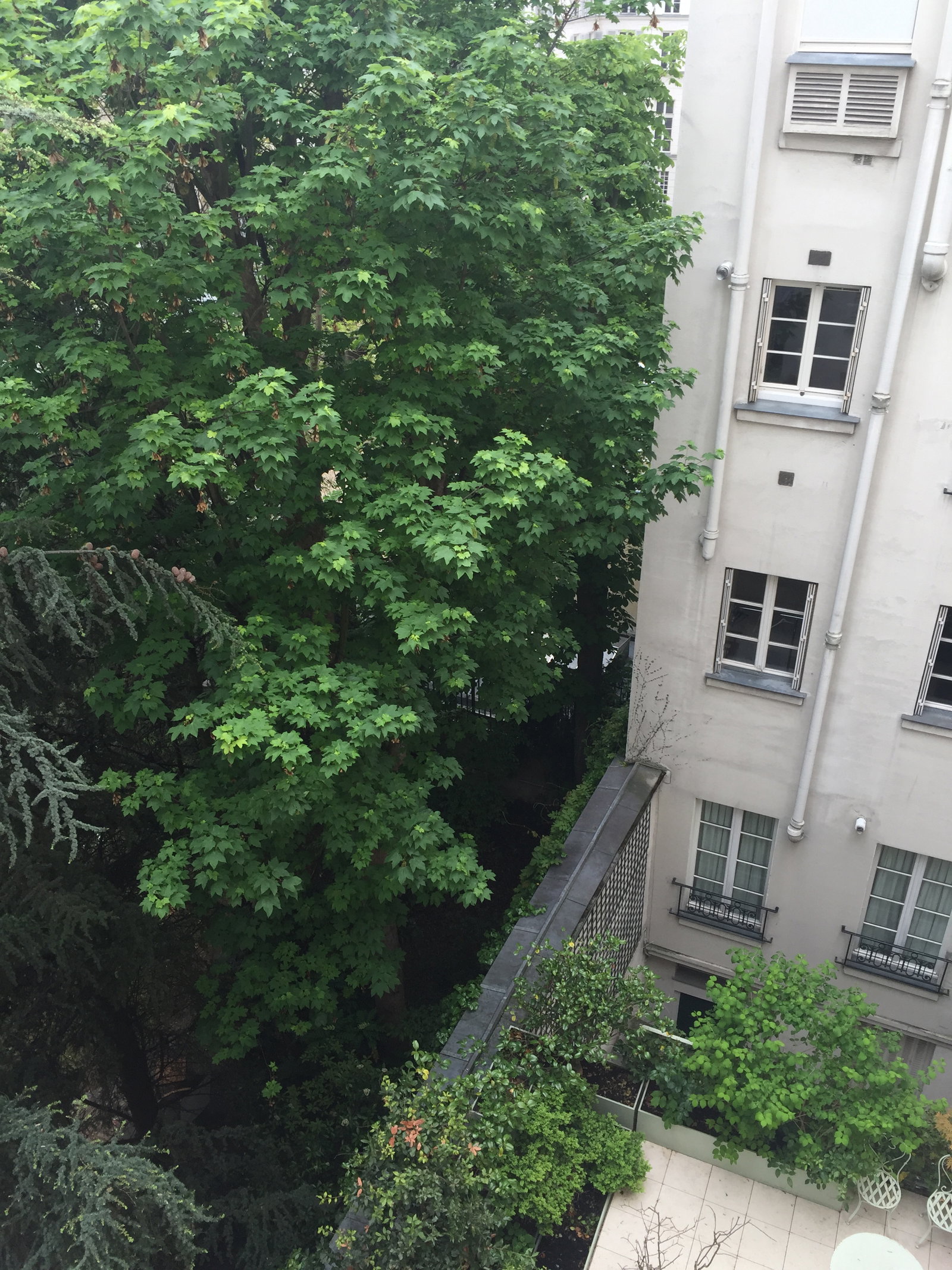 Chambre Chez L'habitant Paris 669849