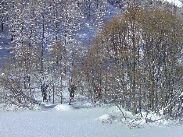 Homestay Briançon 15925