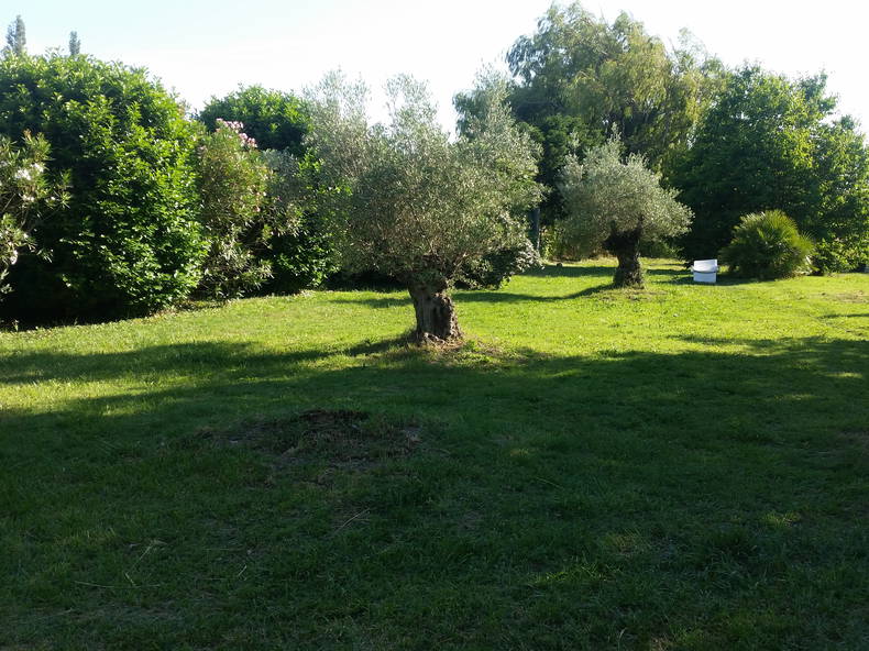 Homestay Camaret-sur-Aigues 136444-2