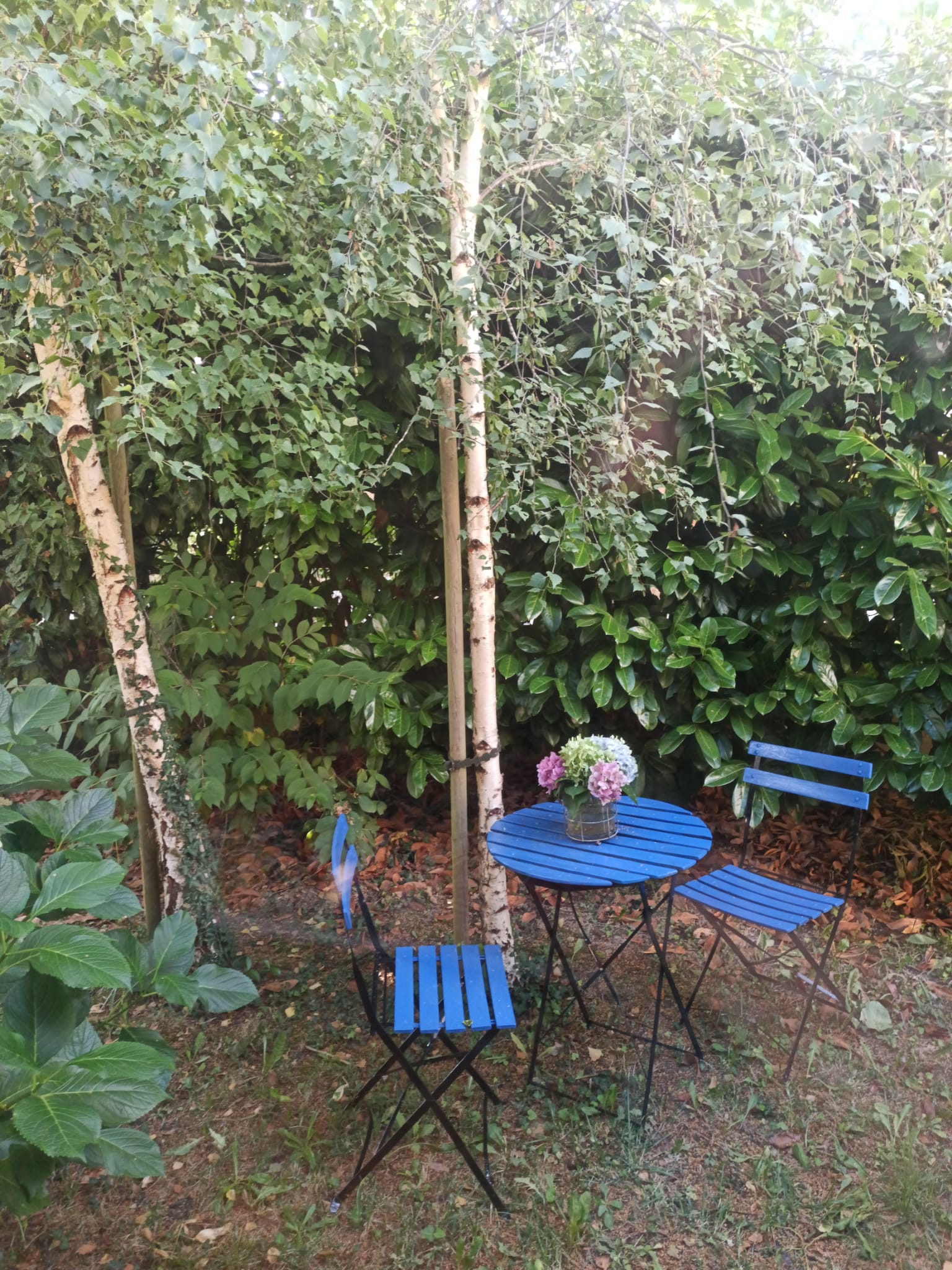 Homestay La Chapelle-Thouarault 284558