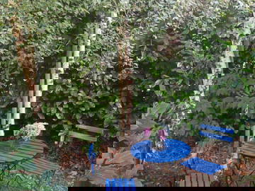 Chambre Chez L'habitant La Chapelle-Thouarault 284558-5