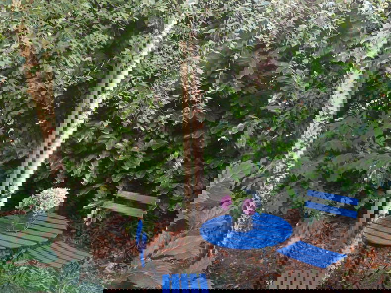 Quedarse En Casa La Chapelle-Thouarault 284558-5