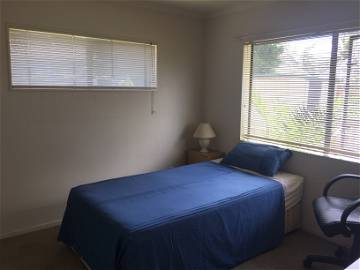 Room For Rent Auckland 156414